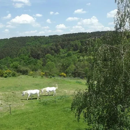 Chambres D'hotes-ferme Equestre Les Revers