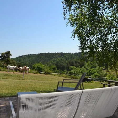 Chambres D'hotes-ferme Equestre Les Revers Bed & Breakfast *