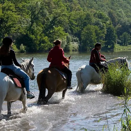 Chambres D'hotes-ferme Equestre Les Revers Bed & Breakfast Retournac